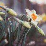 日本无线上网 5c435jlq