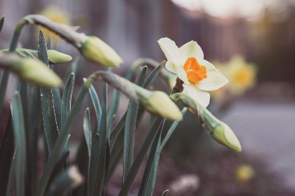 日本无线上网 日本无线上网