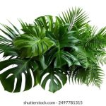 求古阿扎视频 9dblrr6e