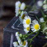 亚洲欧洲天堂在线观看 cdluiaxm52