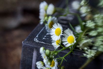 亚洲欧洲天堂在线观看 亚洲欧洲天堂在线观看