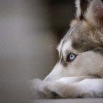 强?BD免费视频 ntqf3u08yt