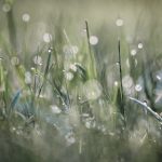 亚洲日韩电影网天堂影院 st9vkrrf0s