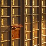 永久免费看黄软件 v7uj5fjn