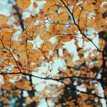 国产综合色在线精品 zakadqjw