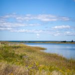 亚洲欧洲日产国码v网址 zg6n308