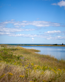 亚洲欧洲日产国码v网址 亚洲欧洲日产国码v网址