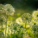 script hook v 2023 download:获取最新版本,提升你的游戏体验与性能 1vvxa