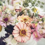 sci-hub:破解学术资源壁垒的免费文献获取平台 3z779m6