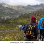 亚洲精品古琴:探索古琴艺术的魅力与传承之路 rwdxtmldrs